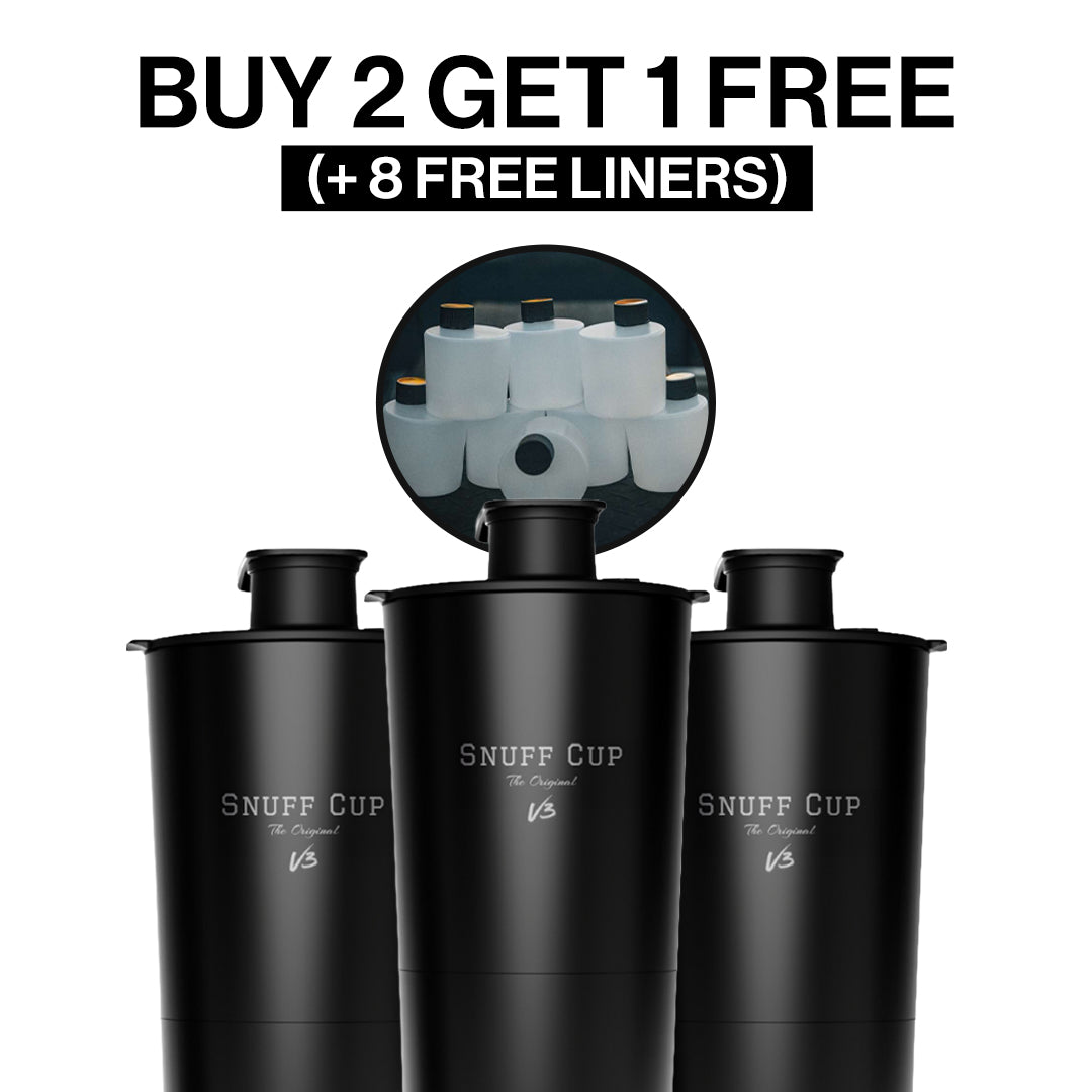 A single green leaf against a white background.